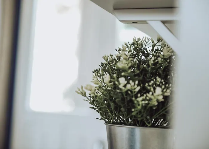 Estacao Ferroviaria De Mondim De Basto *